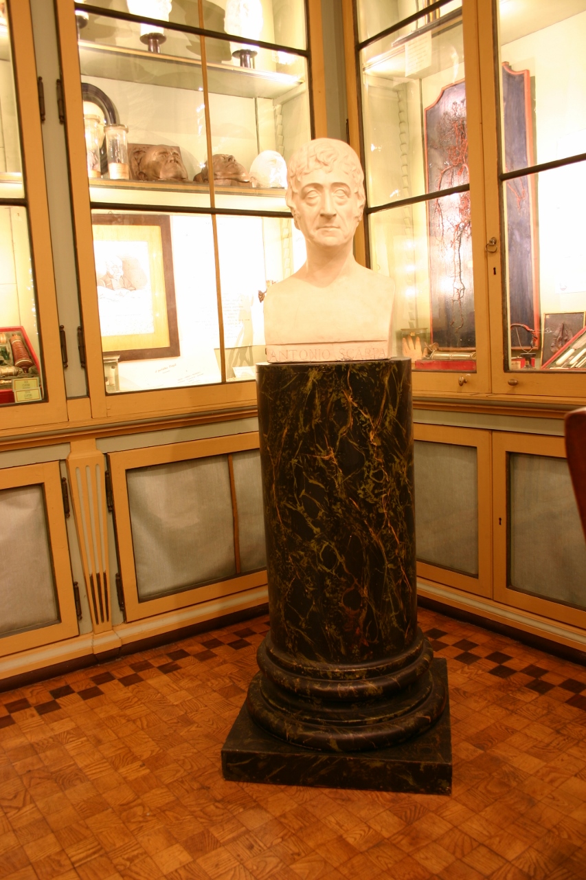 Antonio Scarpa's bust, Museo per la Storia dell'Università, Pavia (853x1280).jpg